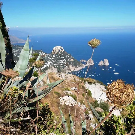 Tra Montagne E Mare