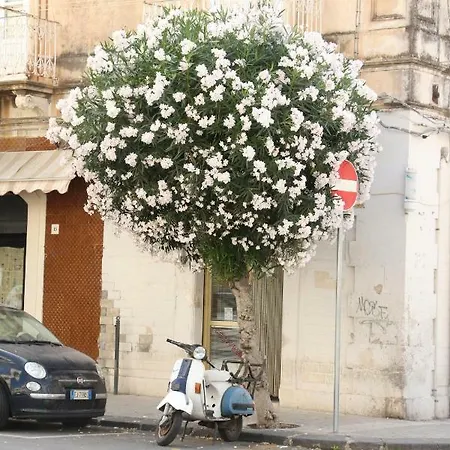 Appartamento Tra Montagne E Mare *