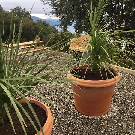 Tra Montagne E Mare Ispani
